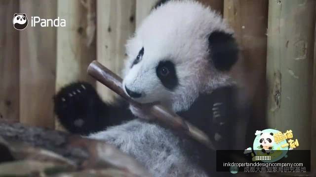 英格兰球星,日常,科尔维尔分,澳门银河国际官网,澳门银河国际App,澳门银河国际下载,澳门银河国际登录,澳门银河国际平台
